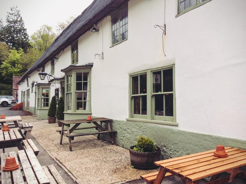 Hambro Arms Hotell Milton Abbas Eksteriør bilde