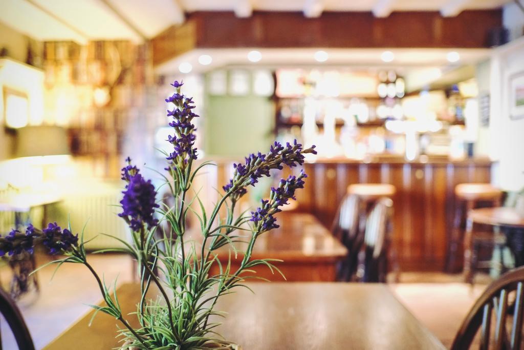 Hambro Arms Hotell Milton Abbas Eksteriør bilde