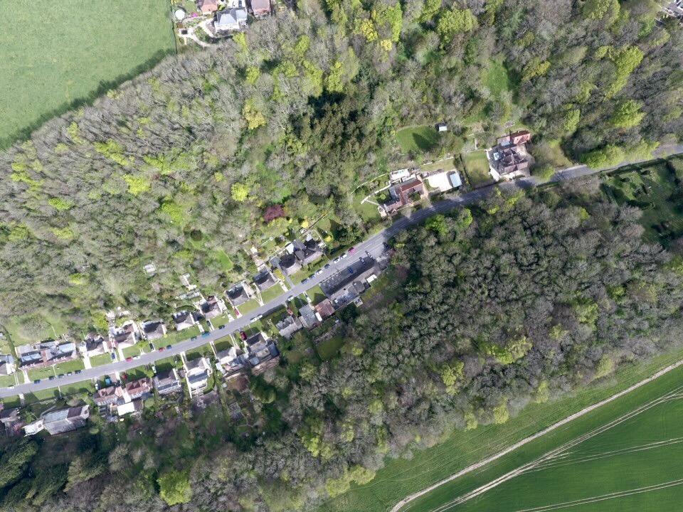 Hambro Arms Hotell Milton Abbas Eksteriør bilde