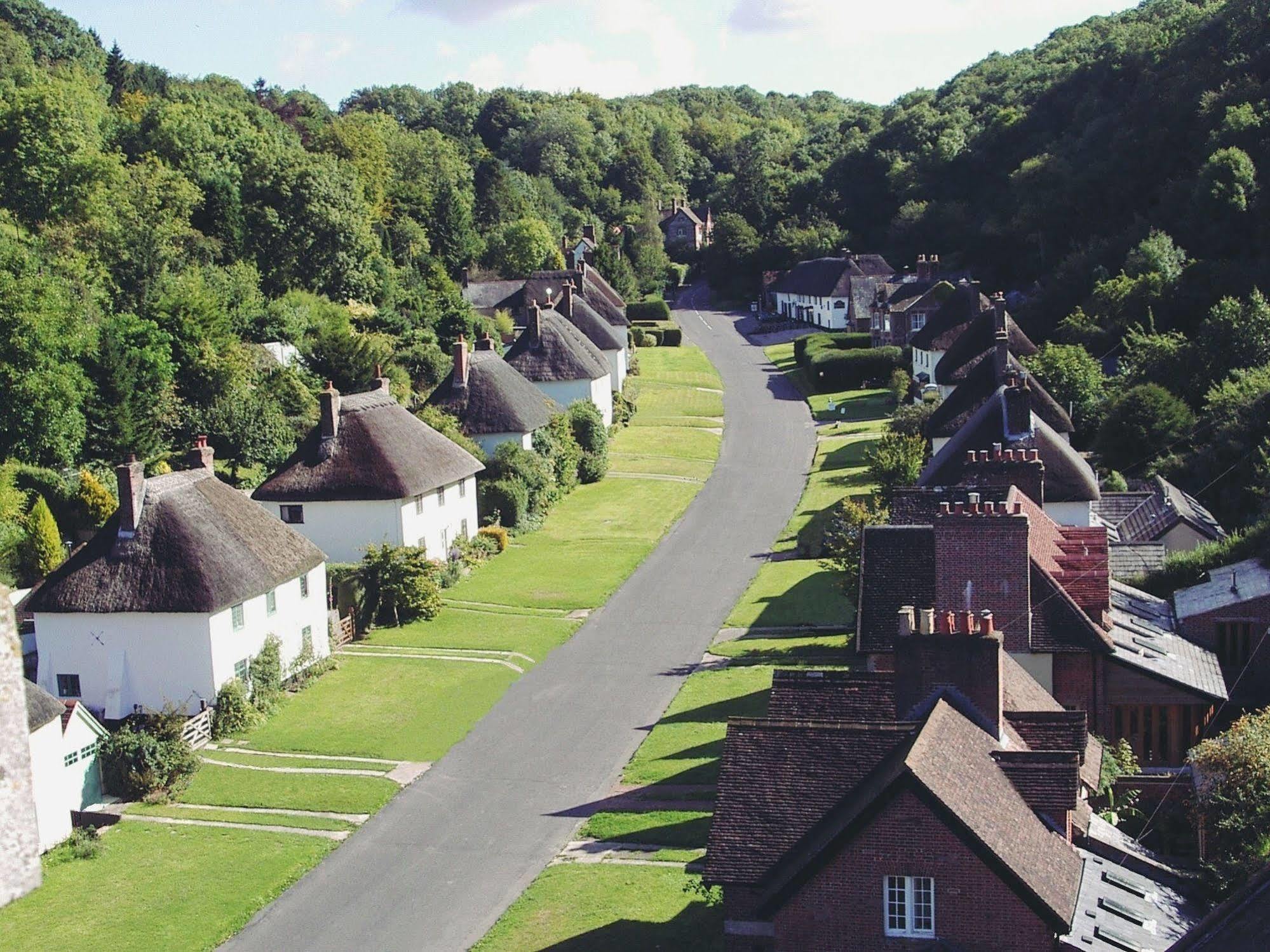 Hambro Arms Hotell Milton Abbas Eksteriør bilde