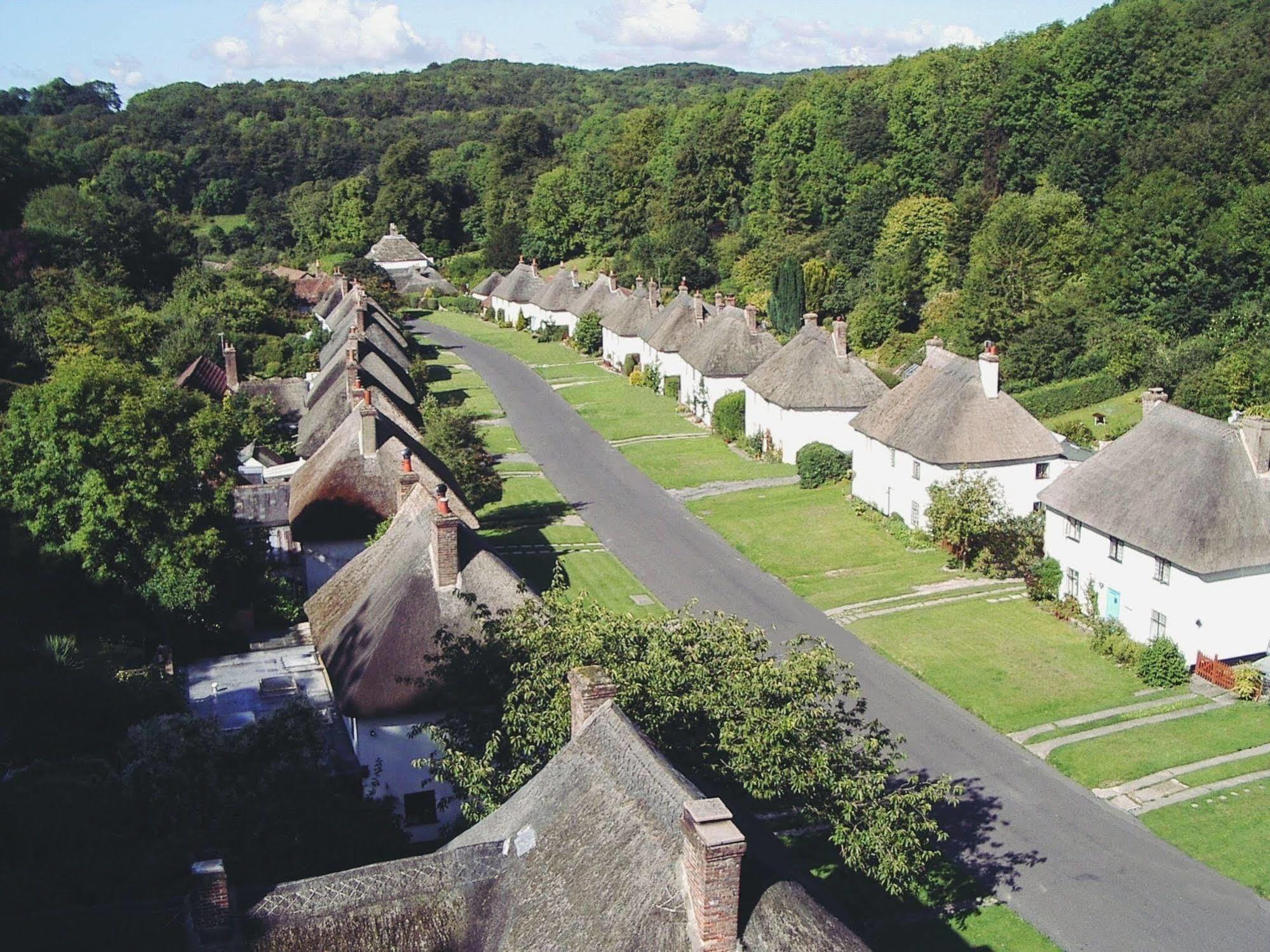 Hambro Arms Hotell Milton Abbas Eksteriør bilde